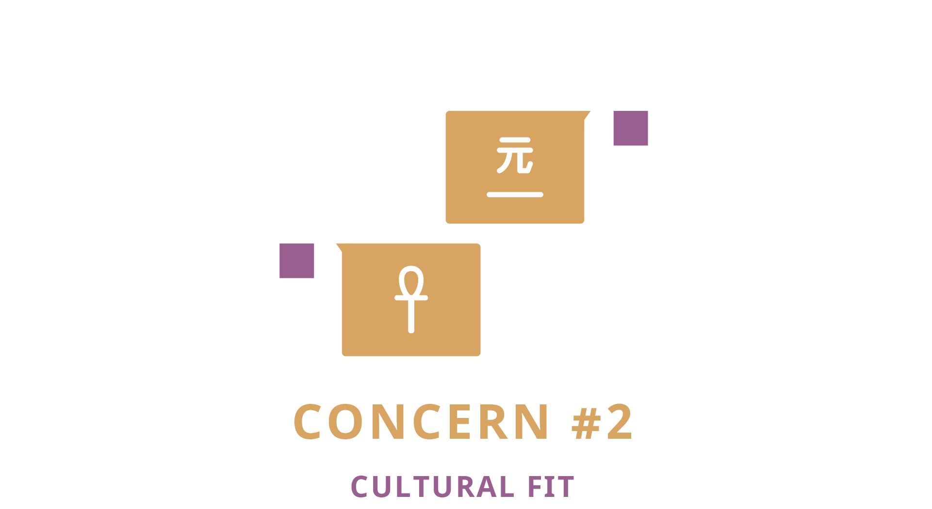 cultural fit